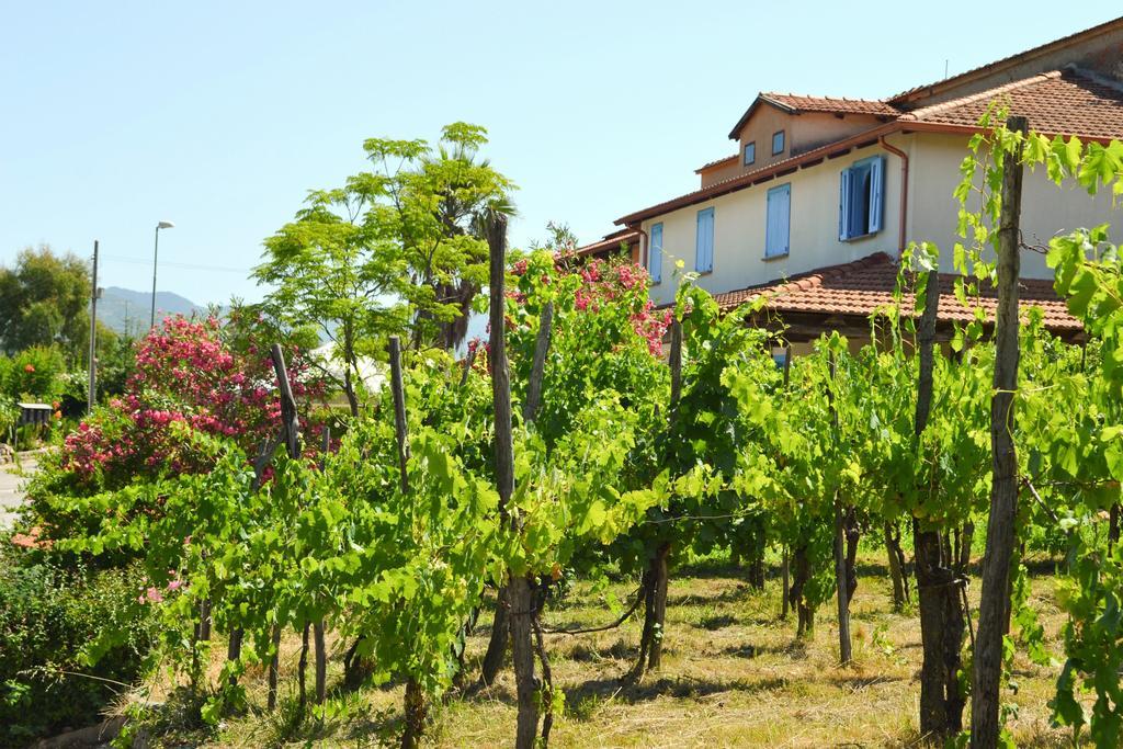 مبيت وإفطار Sessa Cilento Benvenuti Nel Sud المظهر الخارجي الصورة