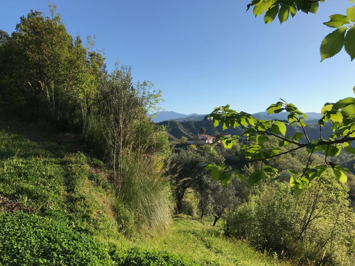 مبيت وإفطار Sessa Cilento Benvenuti Nel Sud المظهر الخارجي الصورة