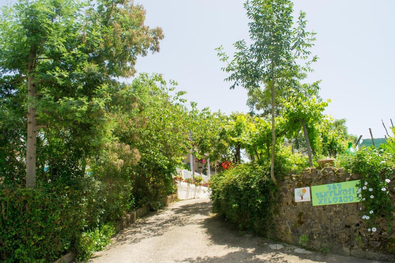 مبيت وإفطار Sessa Cilento Benvenuti Nel Sud المظهر الخارجي الصورة